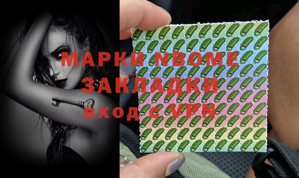 стаф Нея