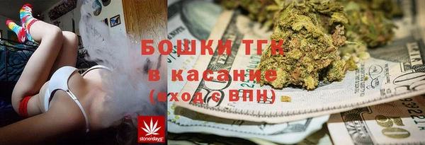 стаф Нея