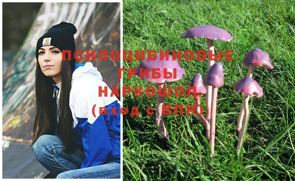 стаф Нея