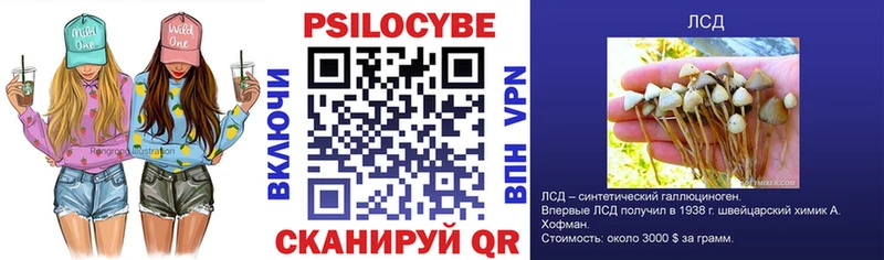 купить  цена  Цоци-Юрт  Галлюциногенные грибы ЛСД 
